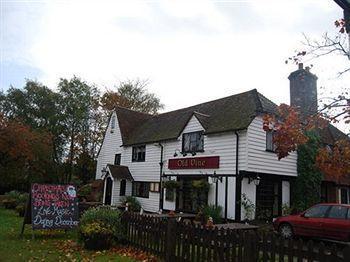 The Old Vine Inn Wadhurst Exteriér fotografie