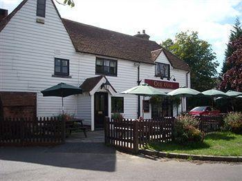 The Old Vine Inn Wadhurst Exteriér fotografie