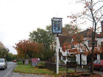 The Old Vine Inn Wadhurst Exteriér fotografie
